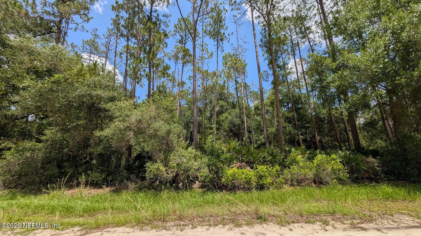 301 Whispering Pines Road Georgetown, FL 32139 - Photo 3 of 12 3