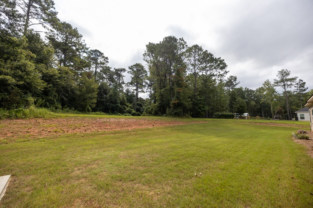 14188 Ga Highway West Point, GA 31833 - Photo 58 of 58