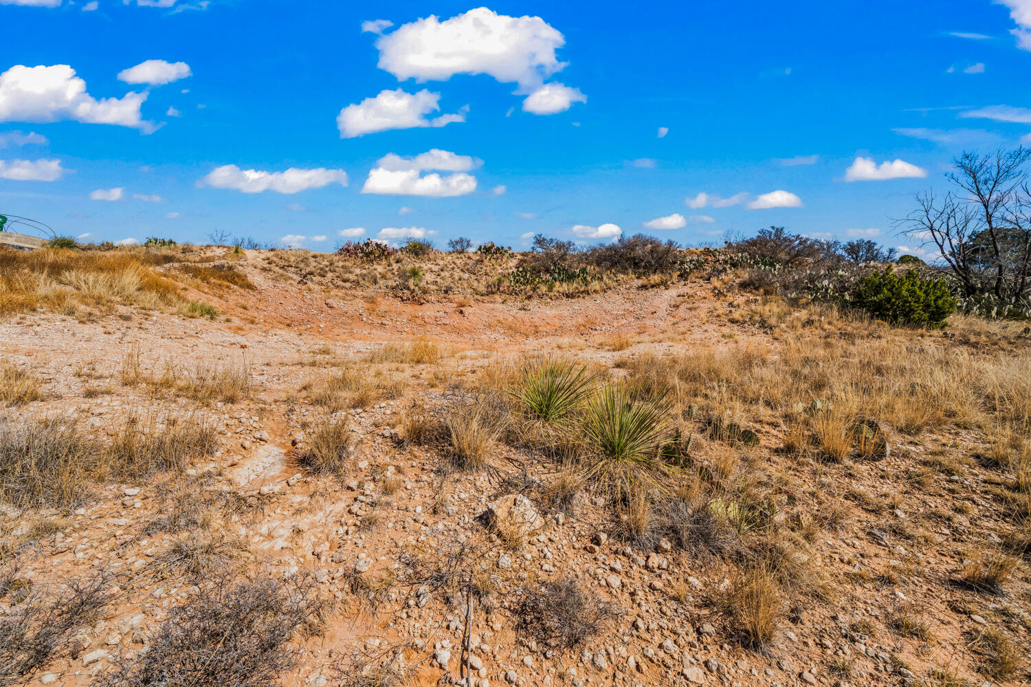 87 East Canyonview Drive Ransom Canyon, TX 79366 - Photo 36 of 42 a view of a snow on a city