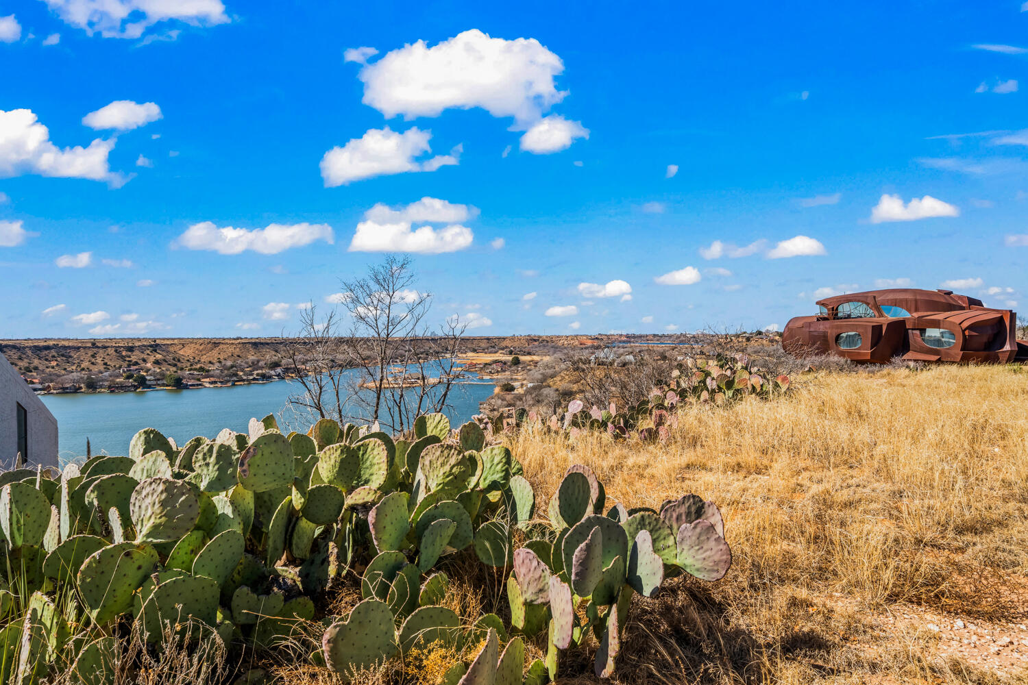 87 East Canyonview Drive Ransom Canyon, TX 79366 - Photo 6 of 42 a view of a bunch of flowers in a building
