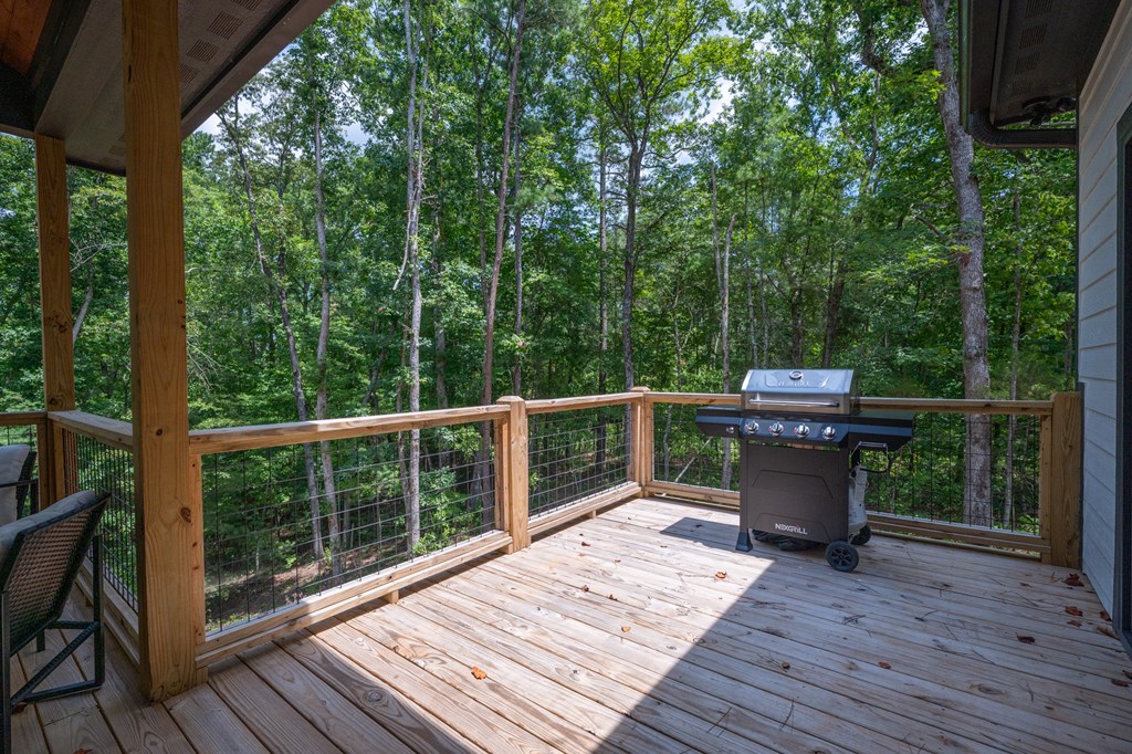32 Hilton Drive Ellijay, GA 30540 - Photo 26 of 58