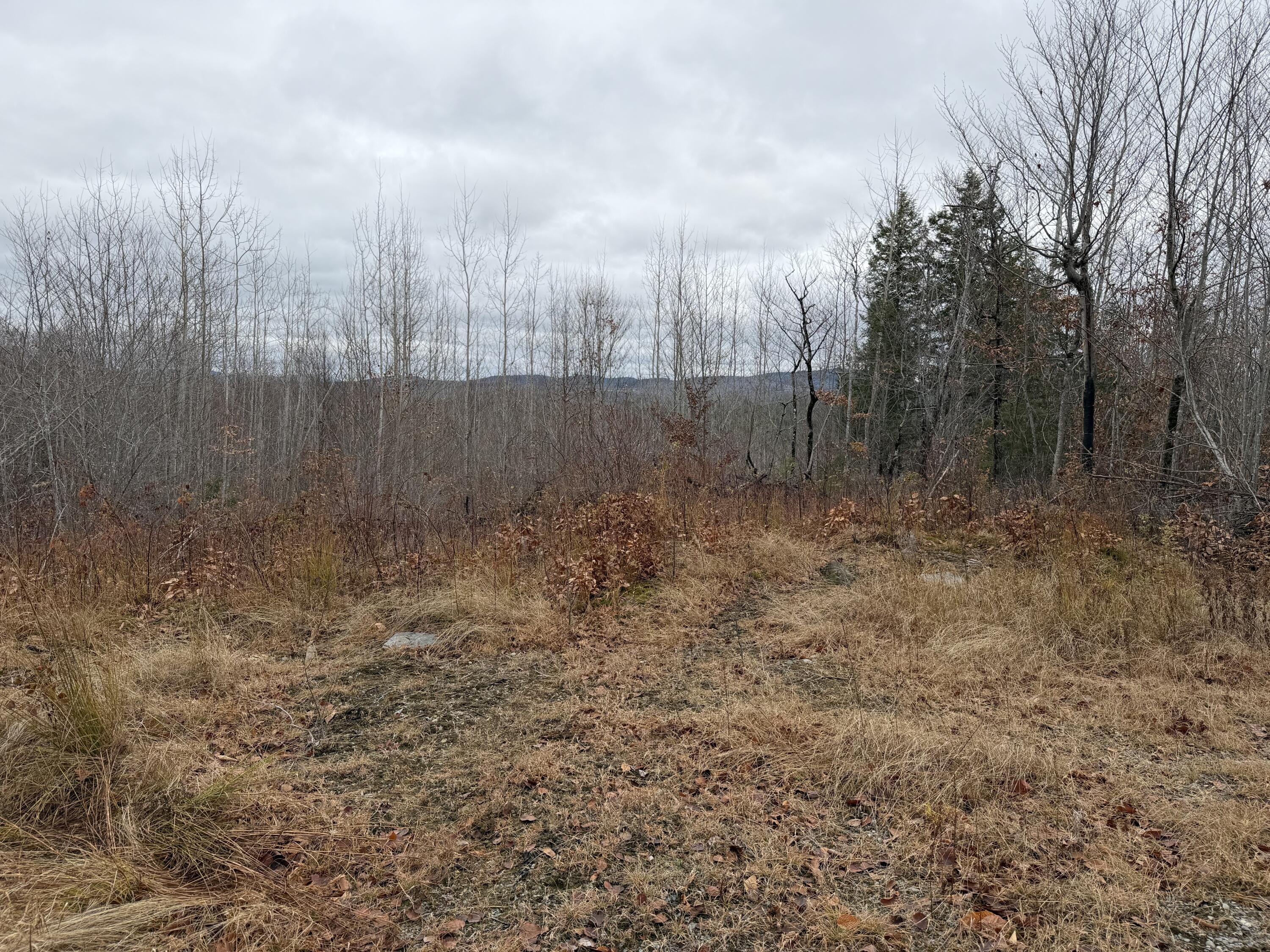 M5-l27 Pond Road Abbot, ME 04406 - Photo 8 of 15