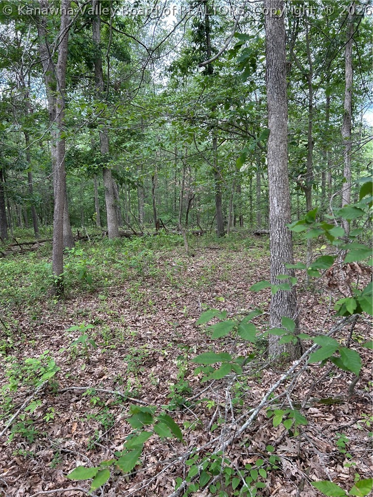 0 Evergreen Road Fraziers Bottom, WV 25082 - Photo 16 of 18 Gallery Image 16