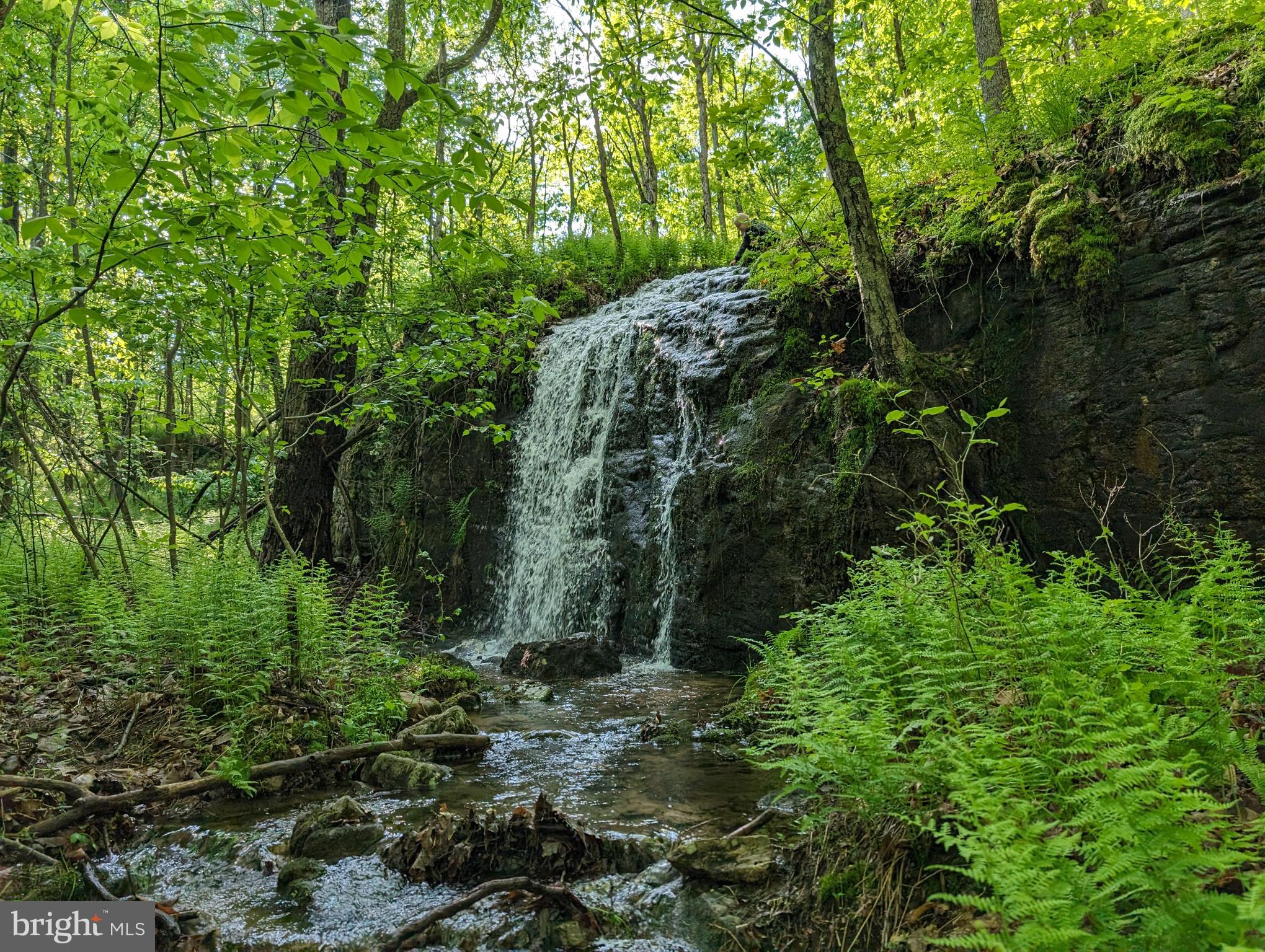 0 Trollfoss Drive Huntingdon, PA 16652 - Photo 1 of 30 a view of a lush green forest