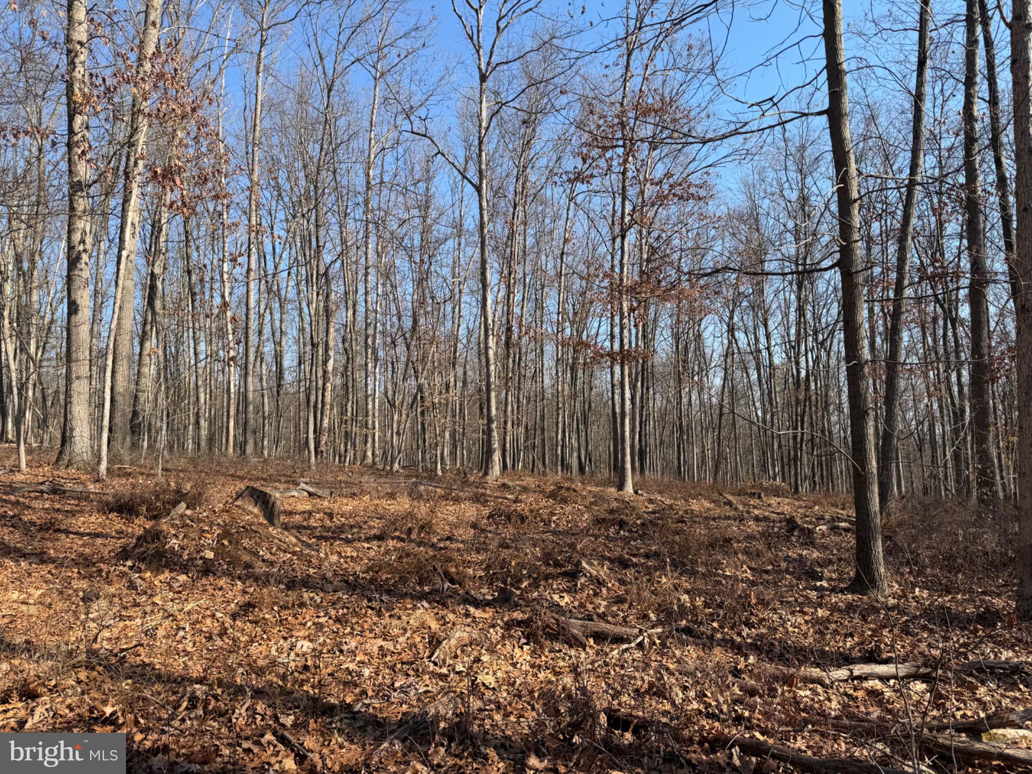 0 Trollfoss Drive Huntingdon, PA 16652 - Photo 23 of 30 a view of field with trees