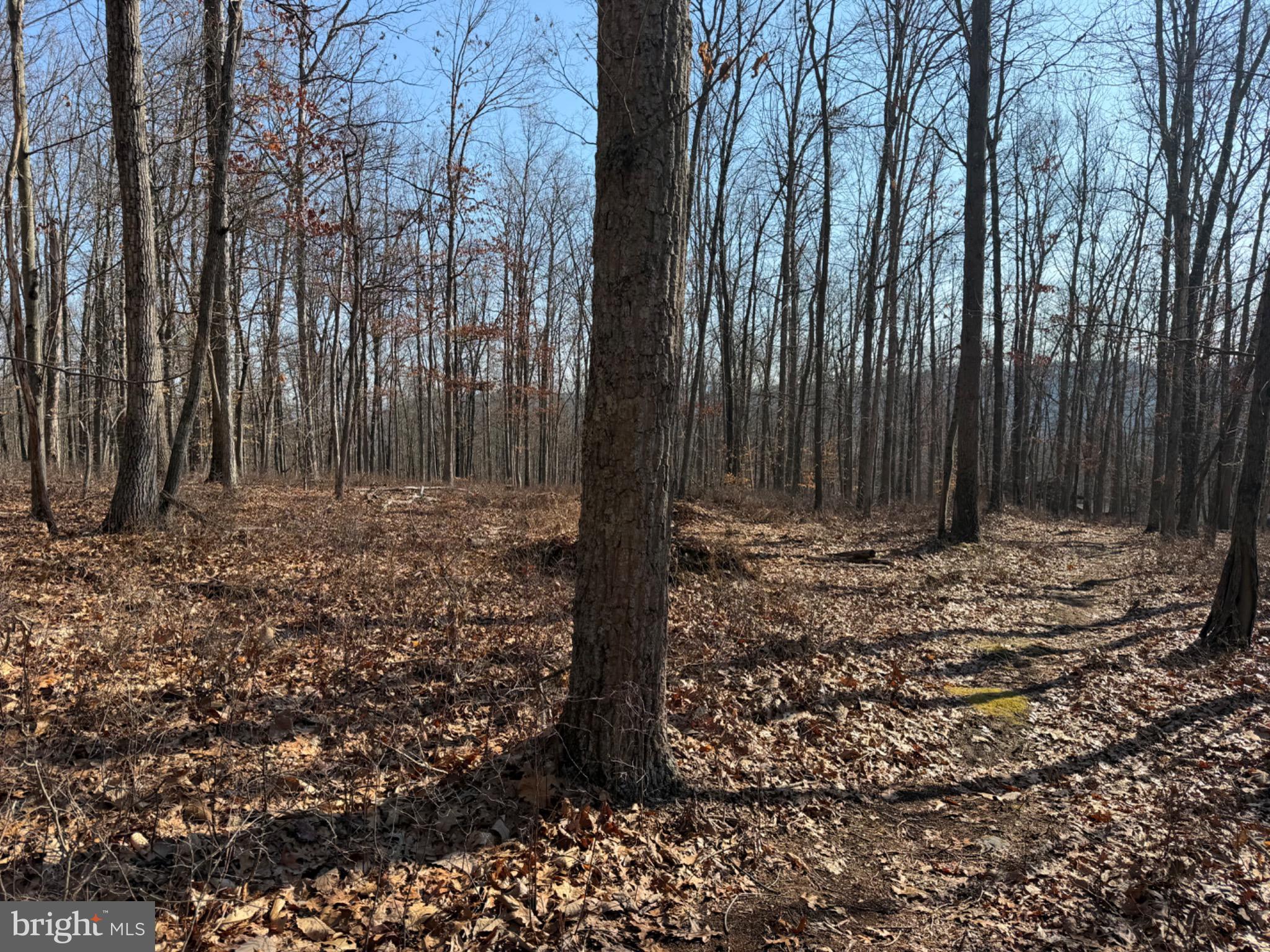0 Trollfoss Drive Huntingdon, PA 16652 - Photo 26 of 30 a view of outdoor space and covered with trees