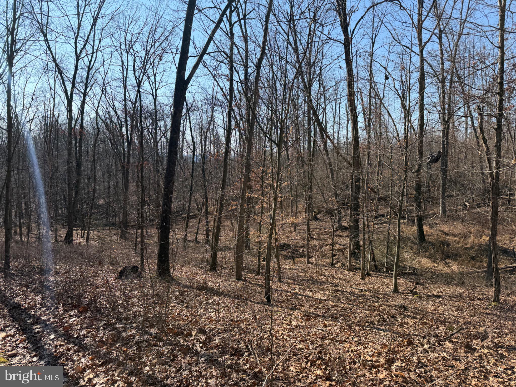 0 Trollfoss Drive Huntingdon, PA 16652 - Photo 29 of 30 a view of outdoor space with lots of trees
