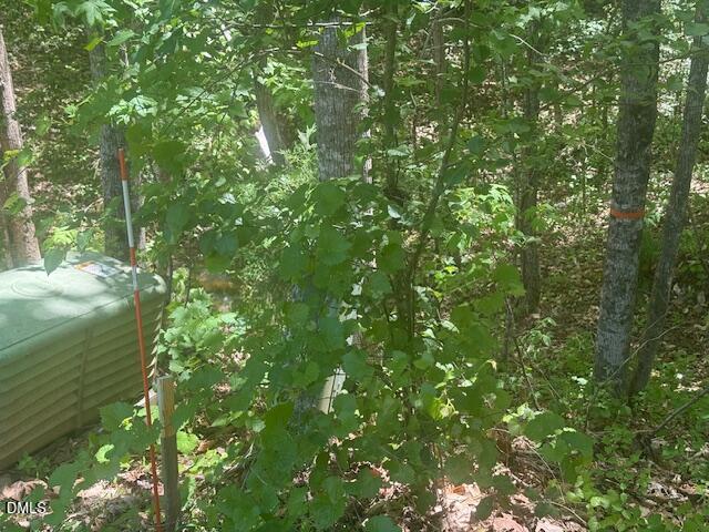 4050 Oak Ridge Court Franklinton, NC 27525 - Photo 11 of 20 IMG_4698