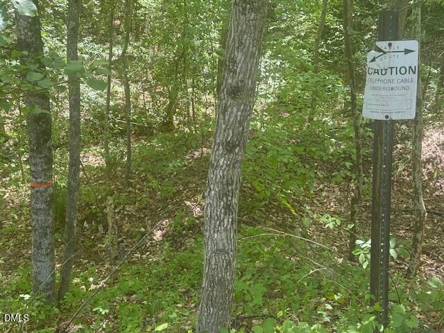 4050 Oak Ridge Court Franklinton, NC 27525 - Photo 12 of 20 IMG_4699
