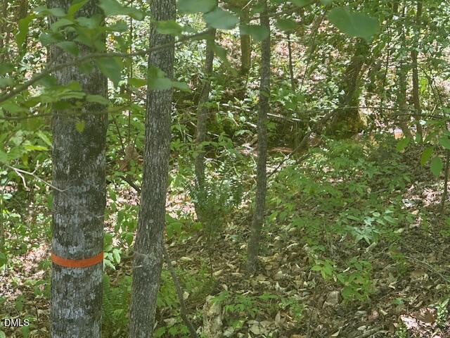 4050 Oak Ridge Court Franklinton, NC 27525 - Photo 13 of 20 IMG_4700