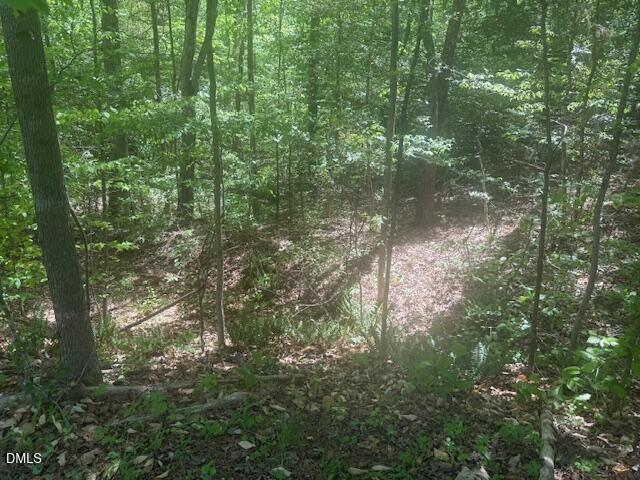 4050 Oak Ridge Court Franklinton, NC 27525 - Photo 15 of 20 IMG_4702