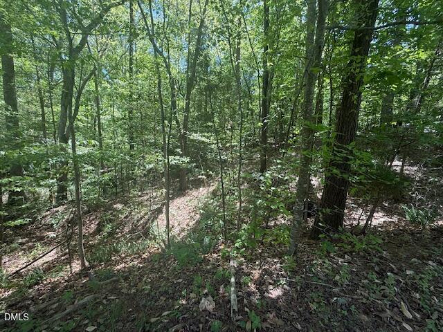 4050 Oak Ridge Court Franklinton, NC 27525 - Photo 16 of 20 IMG_4703