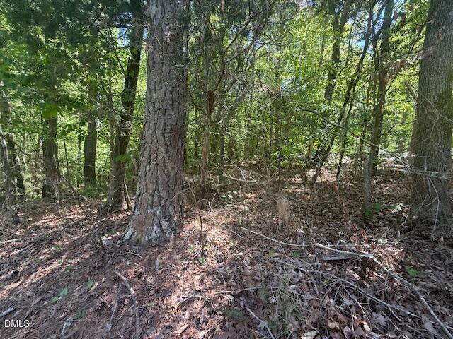 4050 Oak Ridge Court Franklinton, NC 27525 - Photo 17 of 20 IMG_4704