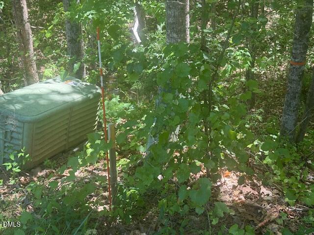 4050 Oak Ridge Court Franklinton, NC 27525 - Photo 9 of 20 IMG_4696
