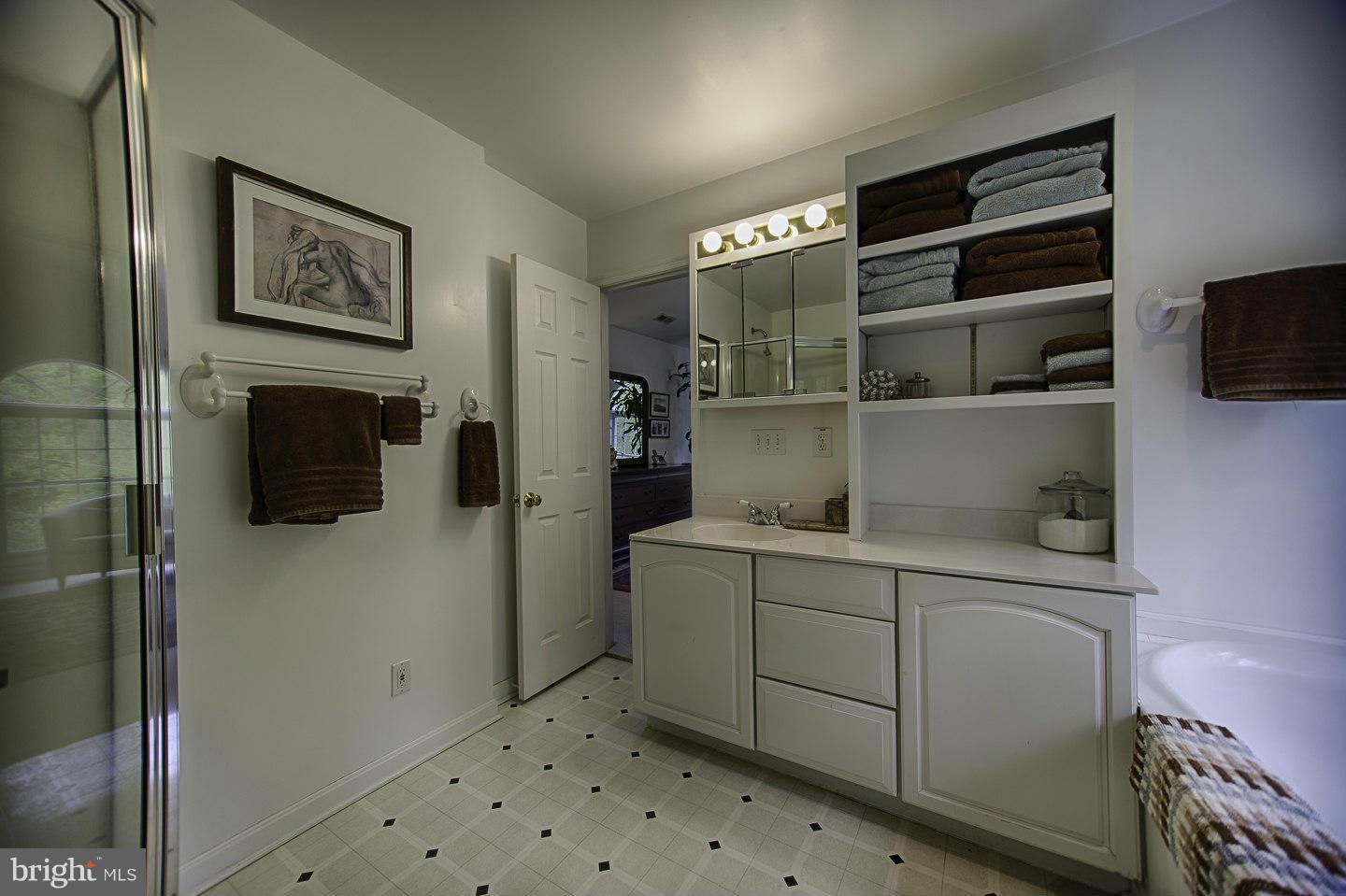 930 Pomeroy Road Front Royal, VA 22630 - Photo 20 of 30 a room with a walk in closet and a flat screen tv