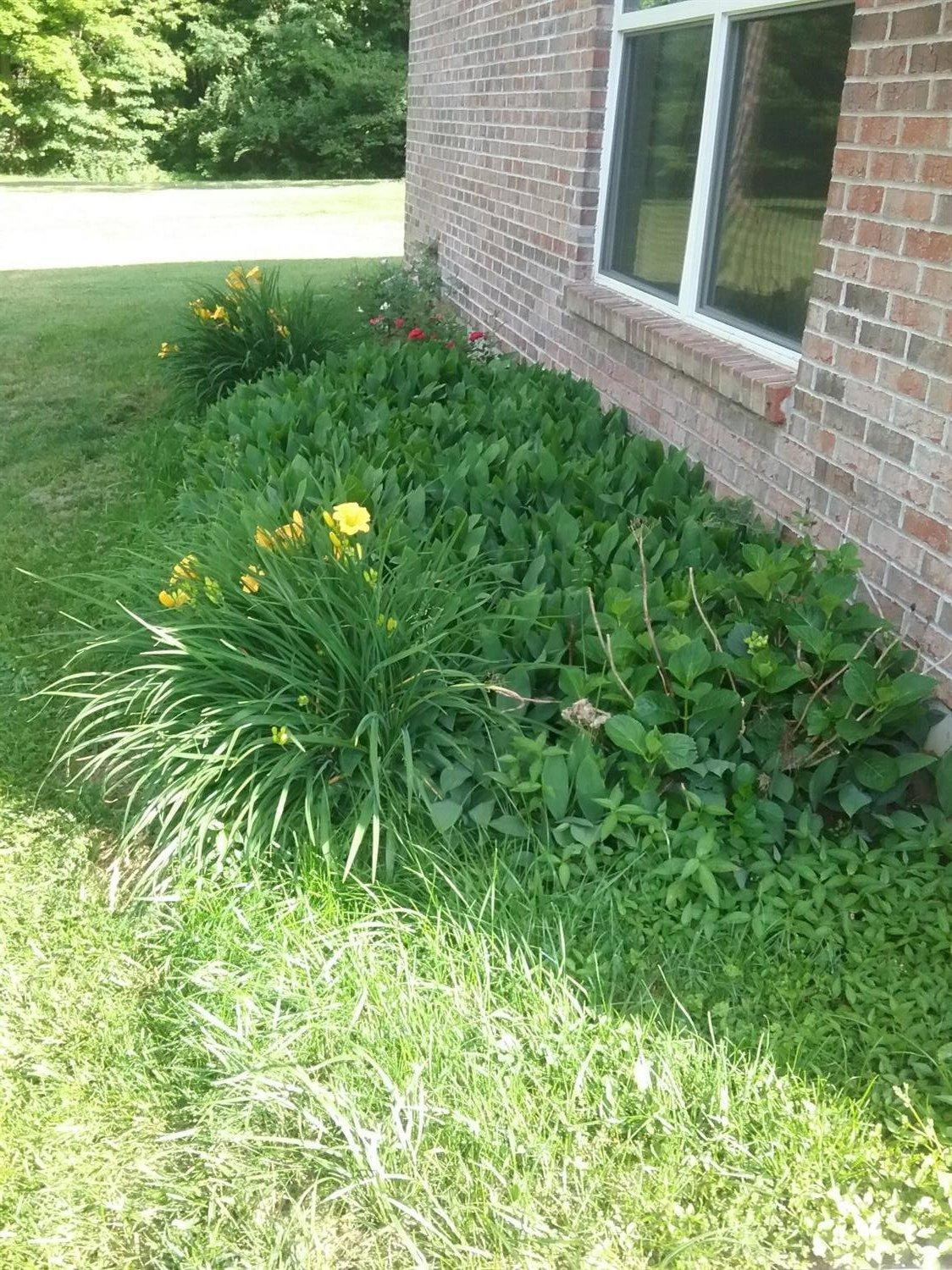 495 Rice Road Latonia, KY 41015 - Photo 2 of 20 Gallery Image 2