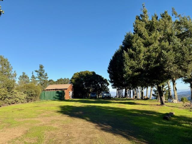 a view of swimming pool and trees in the background
