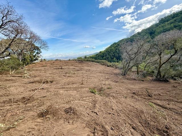 7175 Redwood Retreat Road Gilroy, CA 95020 - Photo 18 of 46 a view of dirt field with large trees