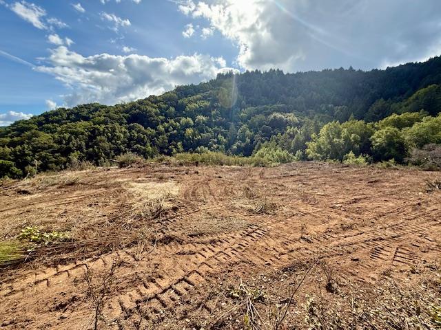 7175 Redwood Retreat Road Gilroy, CA 95020 - Photo 27 of 46 a view of a dry yard