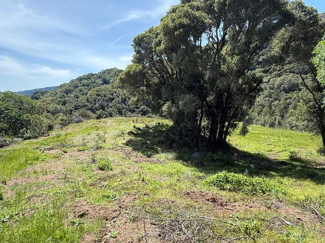 7175 Redwood Retreat Road Gilroy, CA 95020 - Photo 28 of 46 a view of a garden with large trees