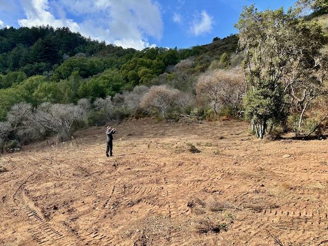 7175 Redwood Retreat Road Gilroy, CA 95020 - Photo 30 of 46 a view of a dry yard with trees