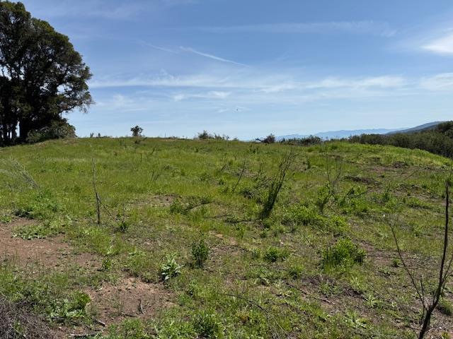 7175 Redwood Retreat Road Gilroy, CA 95020 - Photo 6 of 46 a view of a field with an ocean