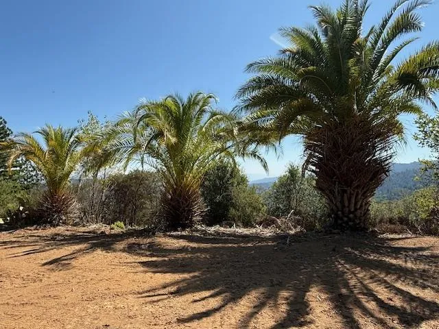 $888,000 | 7175 Redwood Retreat Road, Gilroy, CA 95020