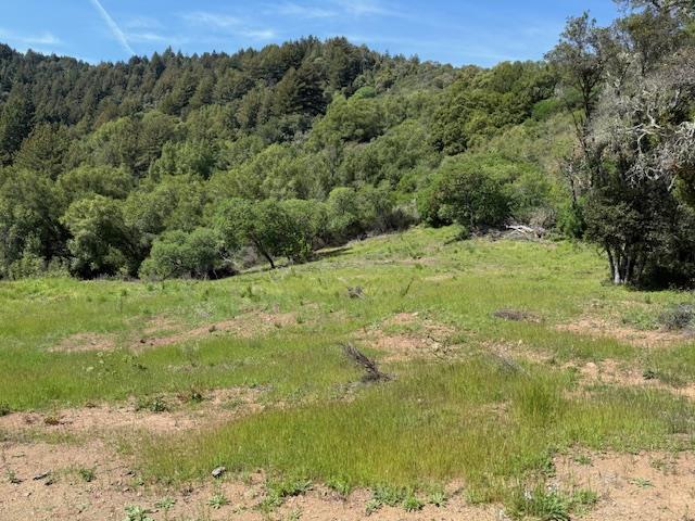 7175 Redwood Retreat Road Gilroy, CA 95020 - Photo 10 of 46 a view of a big yard with lots of green space