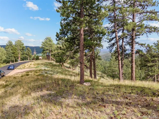 $229,000 | 13817 Gordon Court, Pine, CO 80470