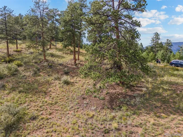 $229,000 | 13817 Gordon Court, Pine, CO 80470