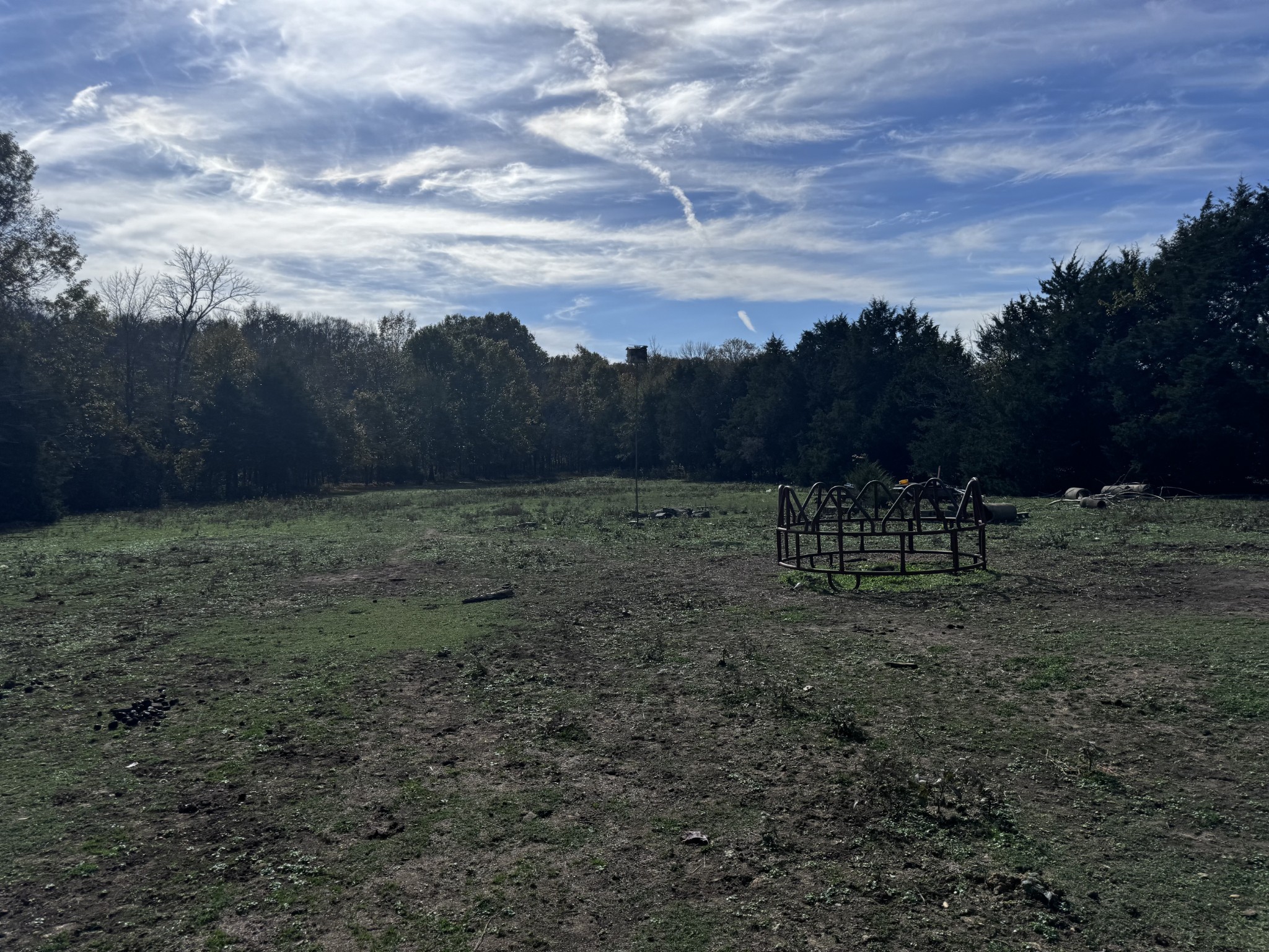 1525 Harkreader Road Mount Juliet, TN 37122 - Photo 17 of 20 a view of a yard