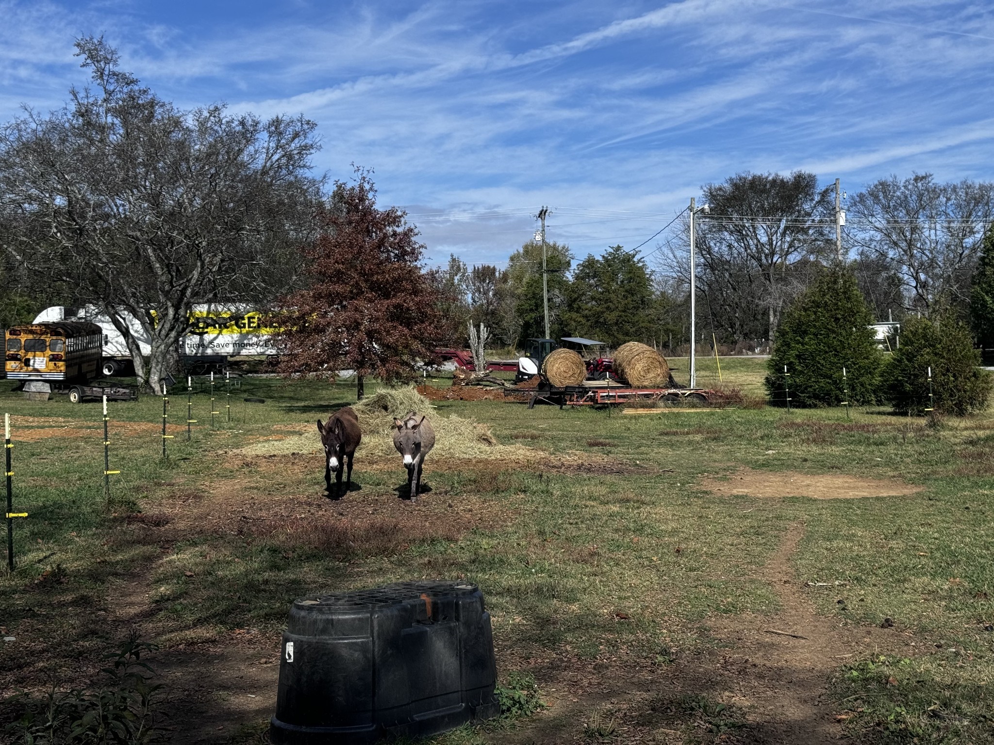 1525 Harkreader Road Mount Juliet, TN 37122 - Photo 19 of 20 a view of a park with large trees
