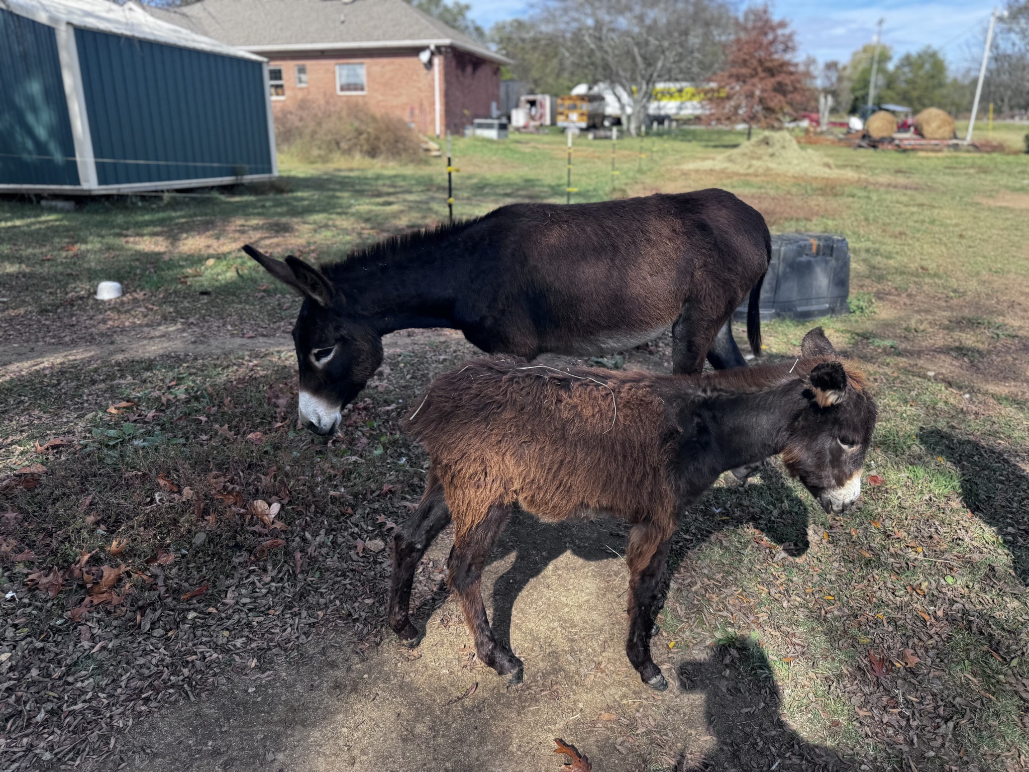 1525 Harkreader Road Mount Juliet, TN 37122 - Photo 20 of 20 a view of outdoor space and yard