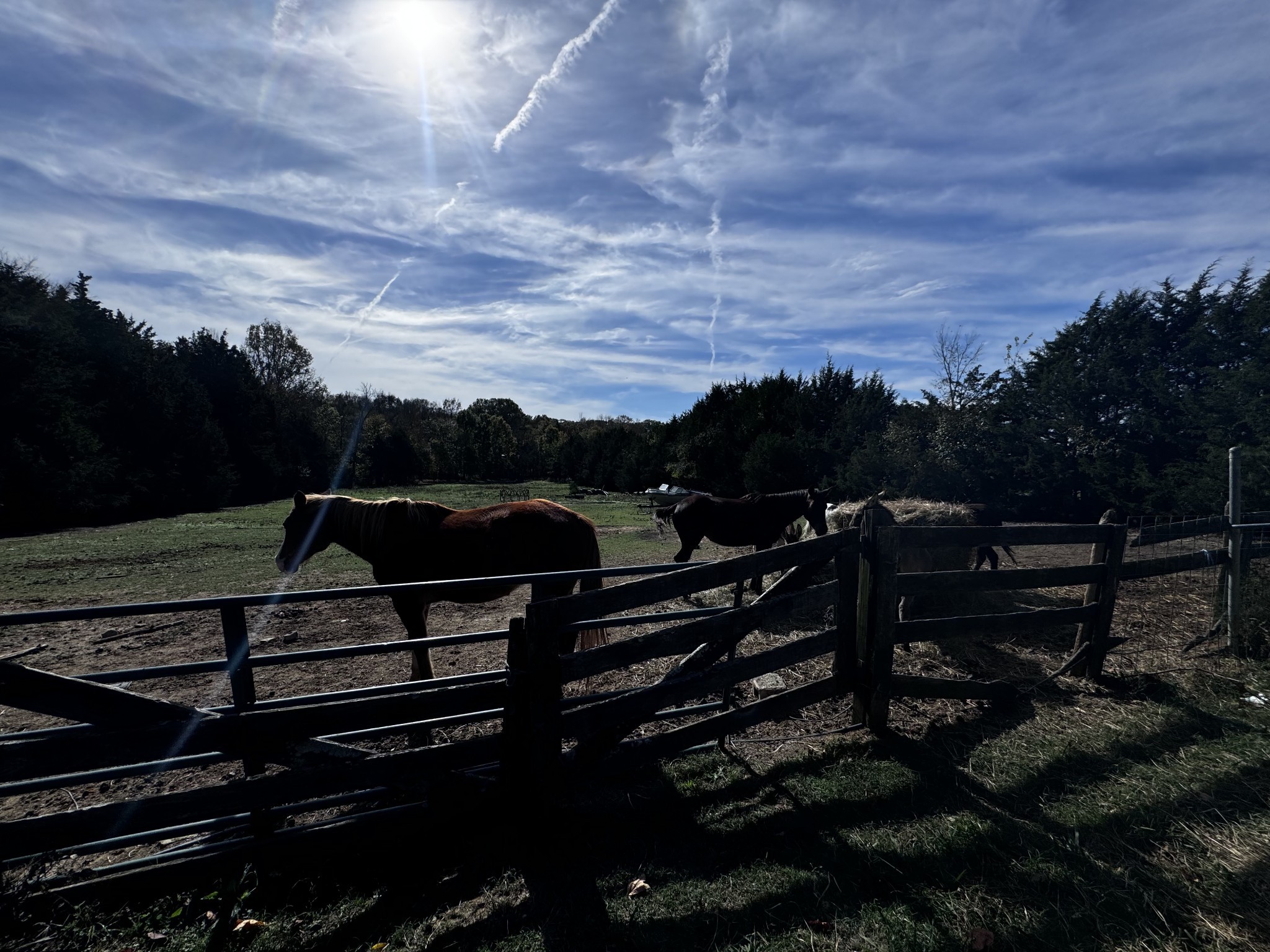 1525 Harkreader Road Mount Juliet, TN 37122 - Photo 10 of 20 a view of a roof
