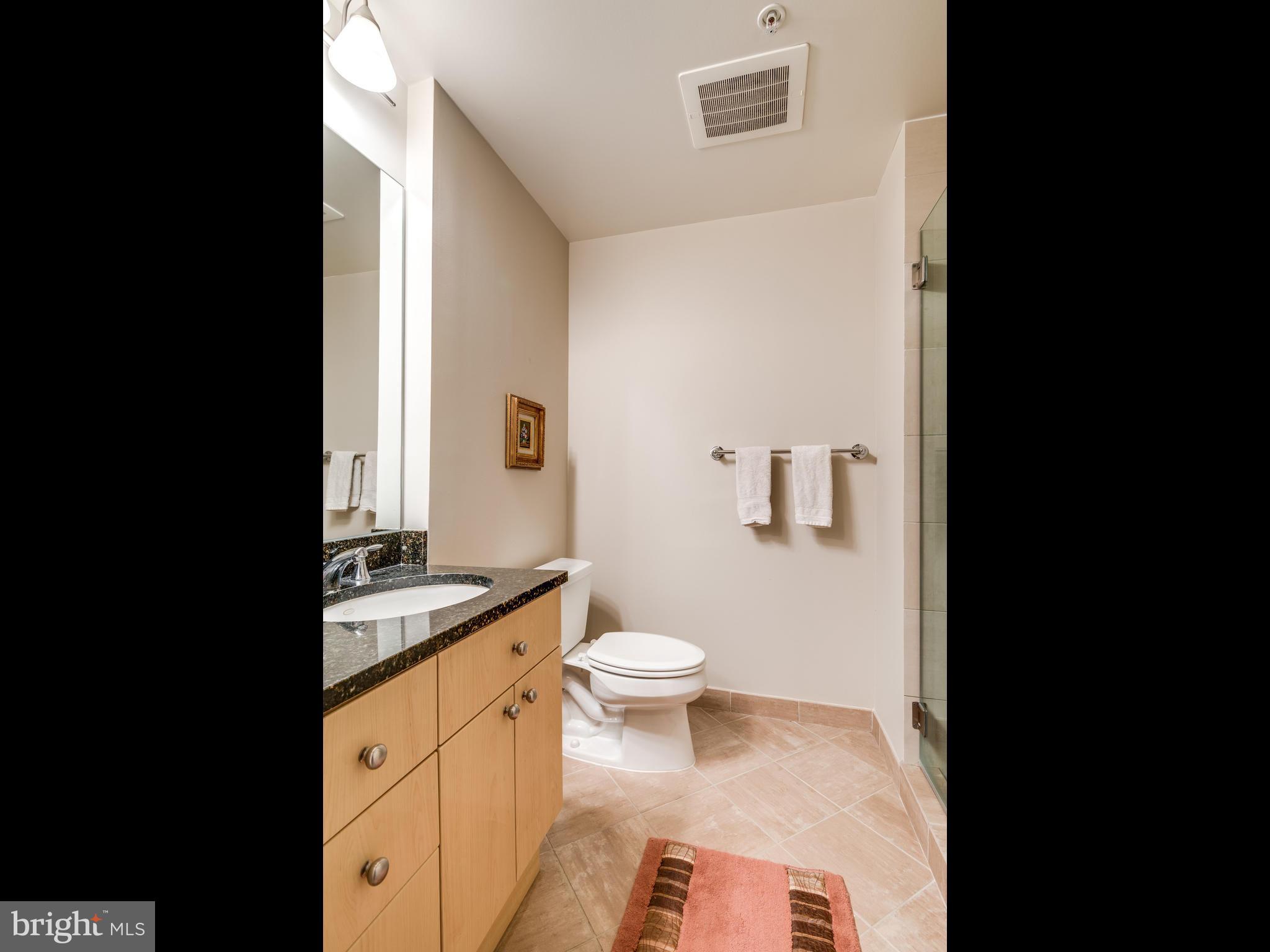 11990 Market Street, Unit 606 Reston, VA 20190 - Photo 17 of 30 Second Bathroom with Shower