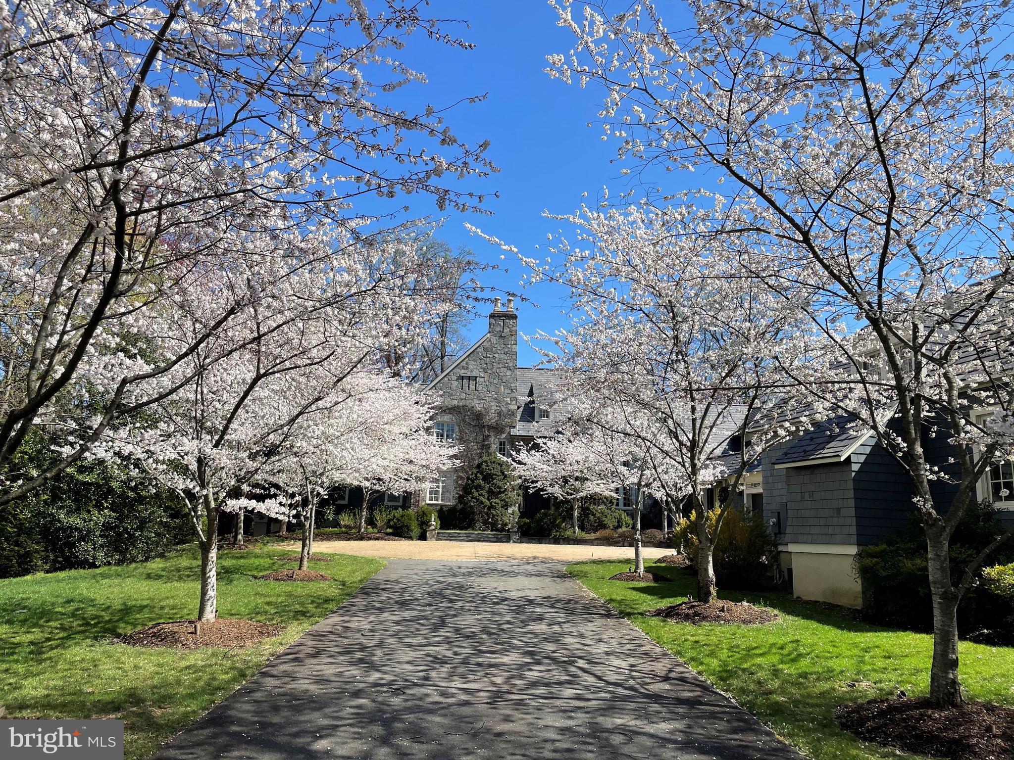 1937 Birch Road McLean, VA 22101 - Photo 3 of 51 Cherry Blossoms in the Spring