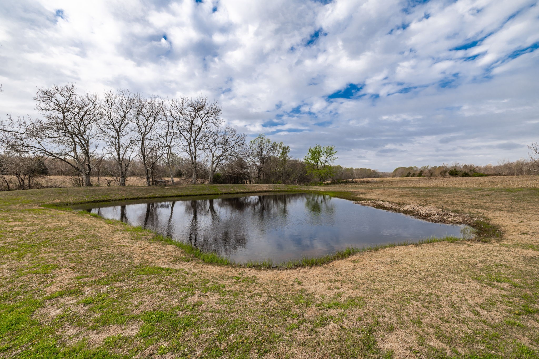 144 B Leo Carter Road Bethpage, TN 37022 - Photo 45 of 46