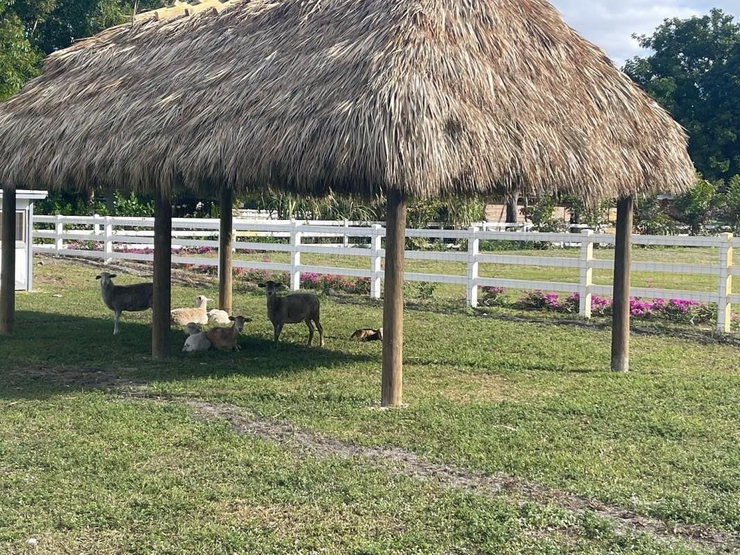 4680 Southwest 148th Avenue Southwest Ranches, FL 33330 - Photo 14 of 38 Photo 14