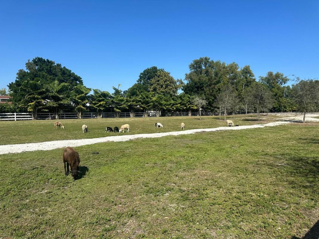 4680 Southwest 148th Avenue Southwest Ranches, FL 33330 - Photo 15 of 38 Photo 15