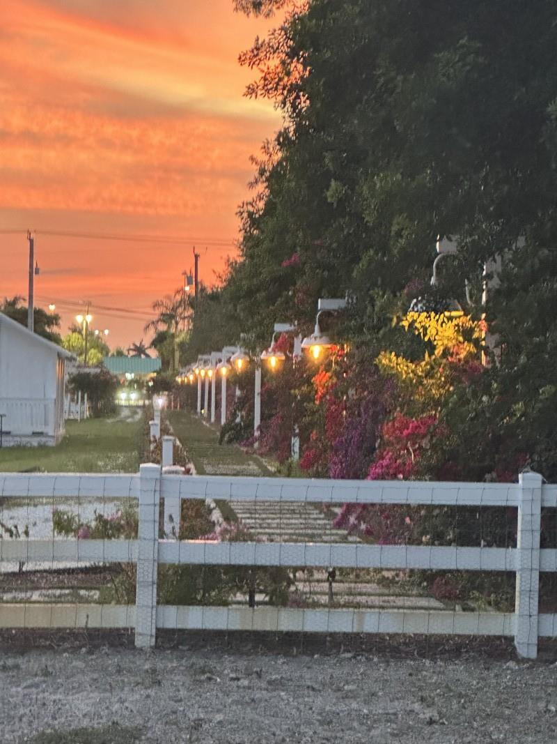 4680 Southwest 148th Avenue Southwest Ranches, FL 33330 - Photo 18 of 38 Photo 18