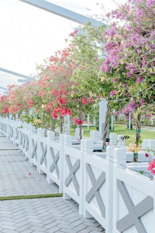 4680 Southwest 148th Avenue Southwest Ranches, FL 33330 - Photo 6 of 38 Photo 6