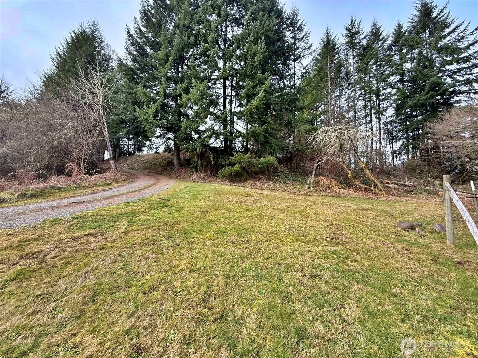 384 Peters Road Randle, WA 98377 - Photo 12 of 23