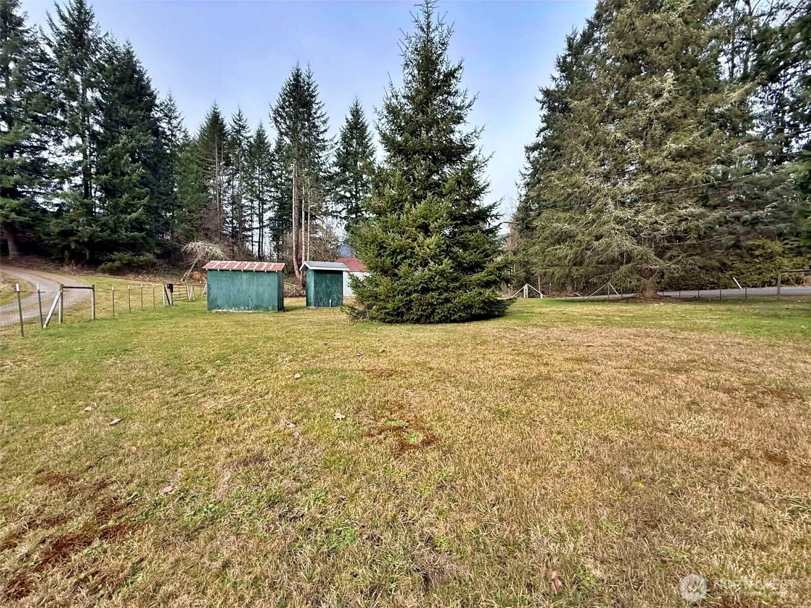 384 Peters Road Randle, WA 98377 - Photo 22 of 23