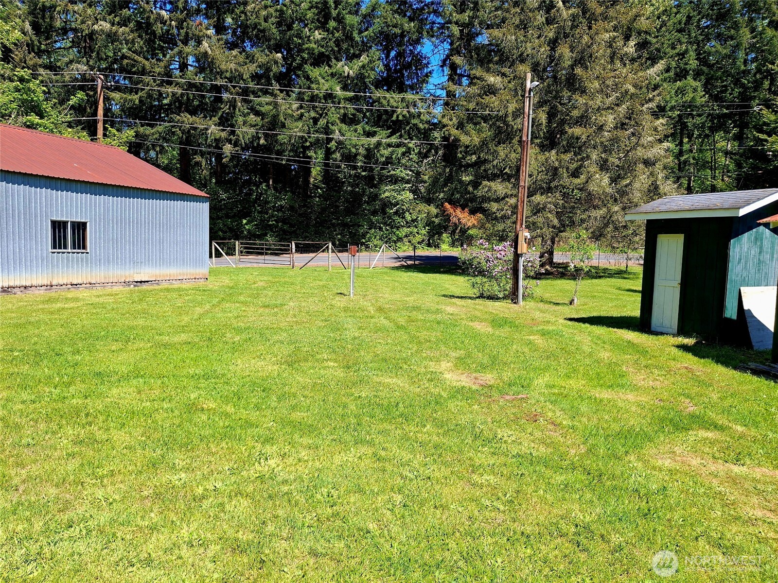 384 Peters Road Randle, WA 98377 - Photo 3 of 28