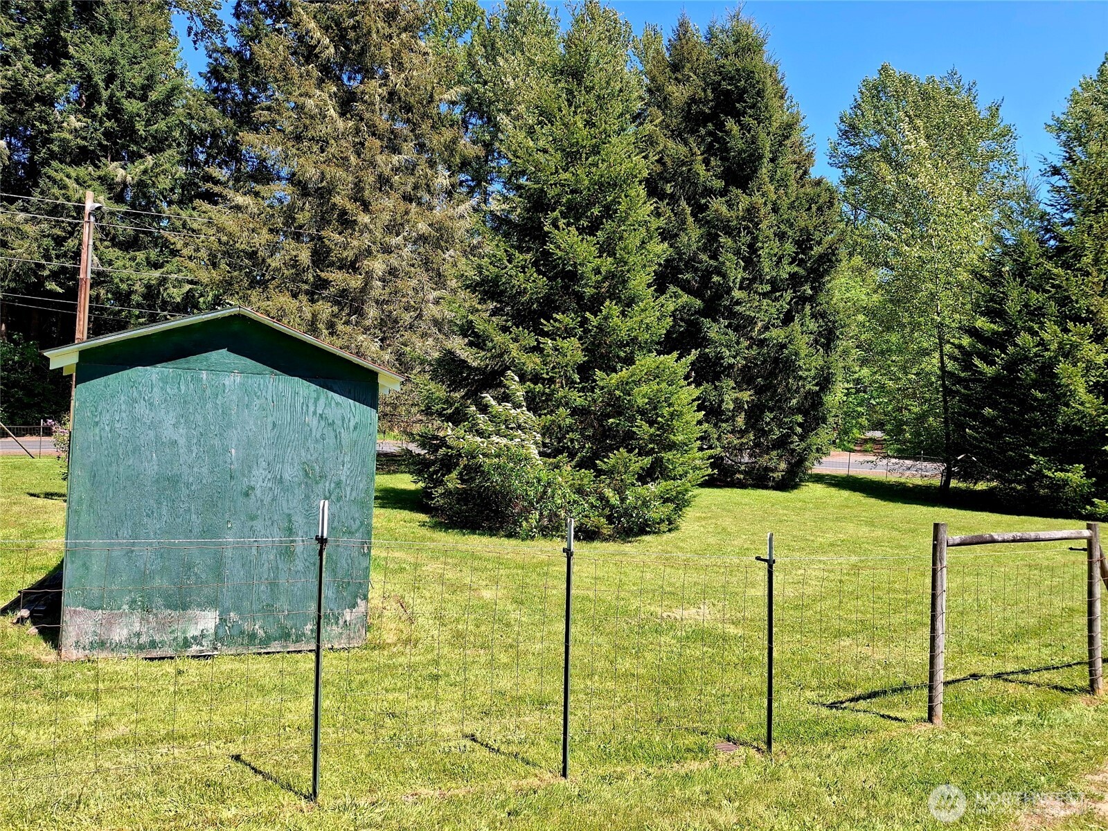 384 Peters Road Randle, WA 98377 - Photo 4 of 28