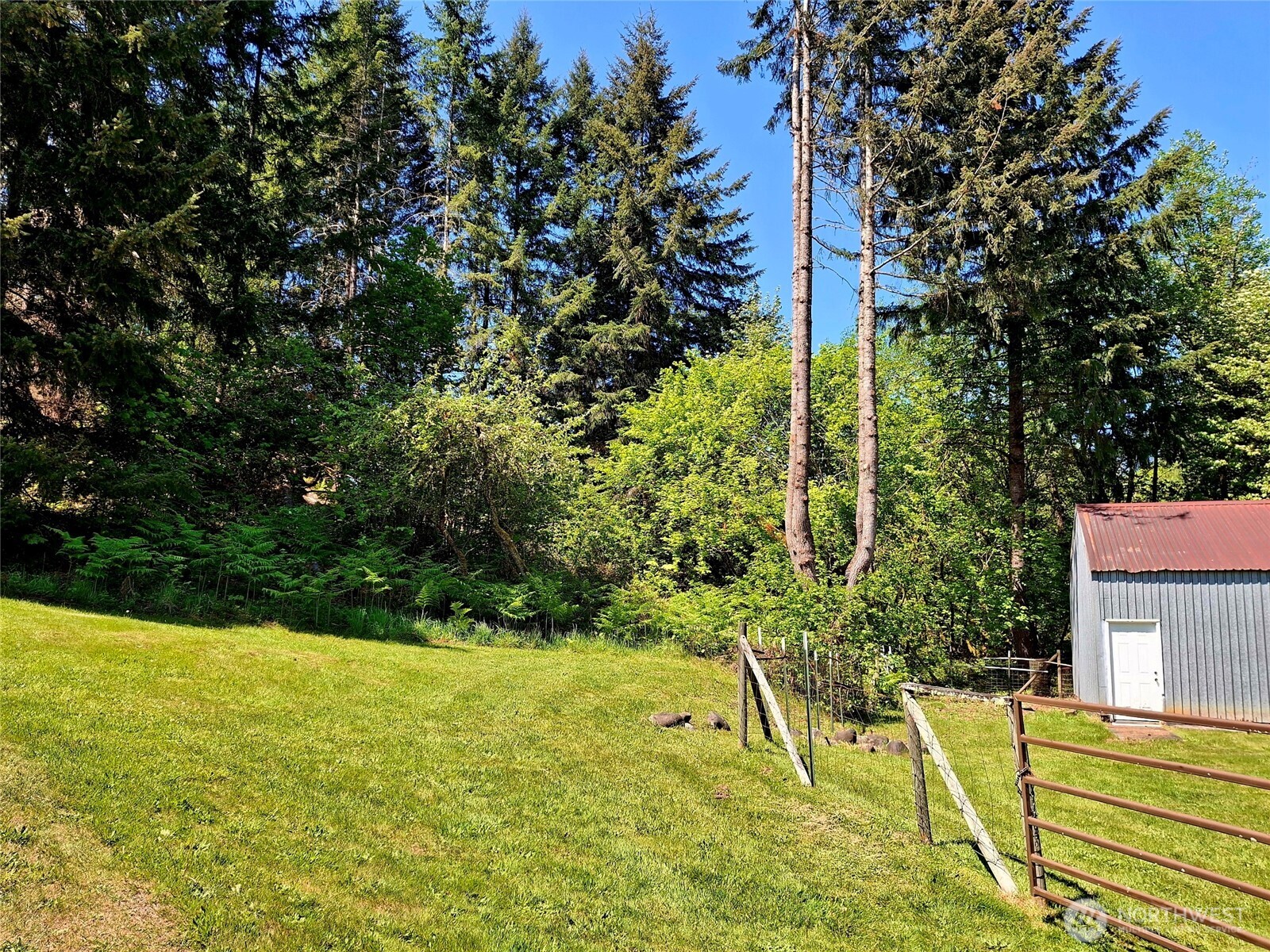 384 Peters Road Randle, WA 98377 - Photo 5 of 28