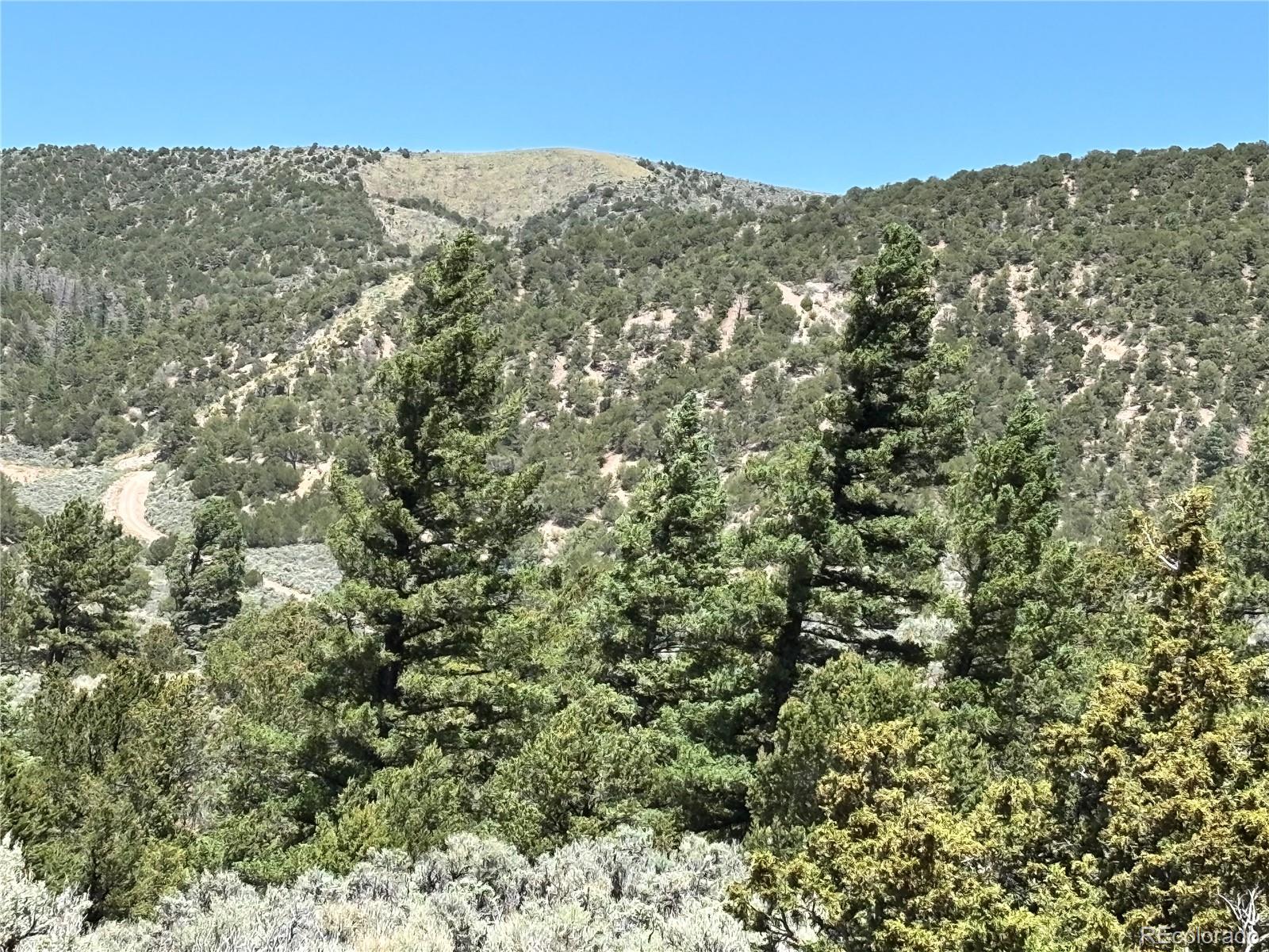 0 Dollfus Road Fort Garland, CO 81133 - Photo 5 of 8 Gallery Image 5