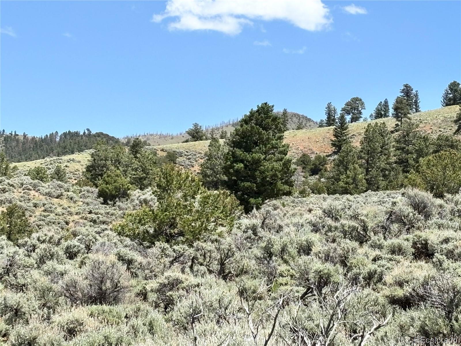 0 Dollfus Road Fort Garland, CO 81133 - Photo 7 of 8 Gallery Image 7