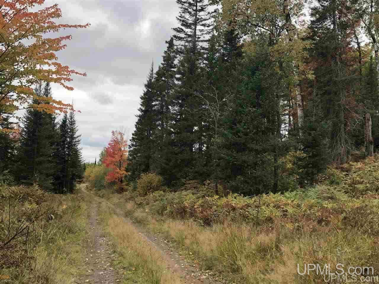 Tbd Off Woods Road Negaunee, MI 49849 - Photo 6 of 15