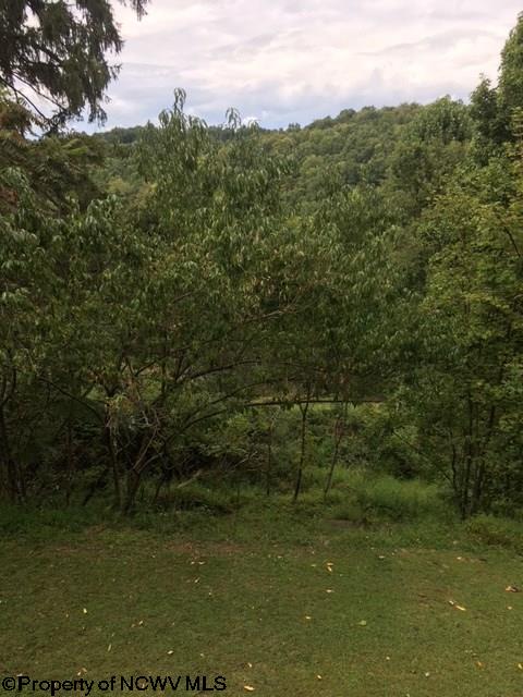 694 Boulder Bridge Road Buckhannon, WV 26201 - Photo 18 of 20 Gallery Image 18